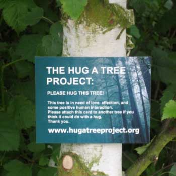 the hug a tree project, 2008